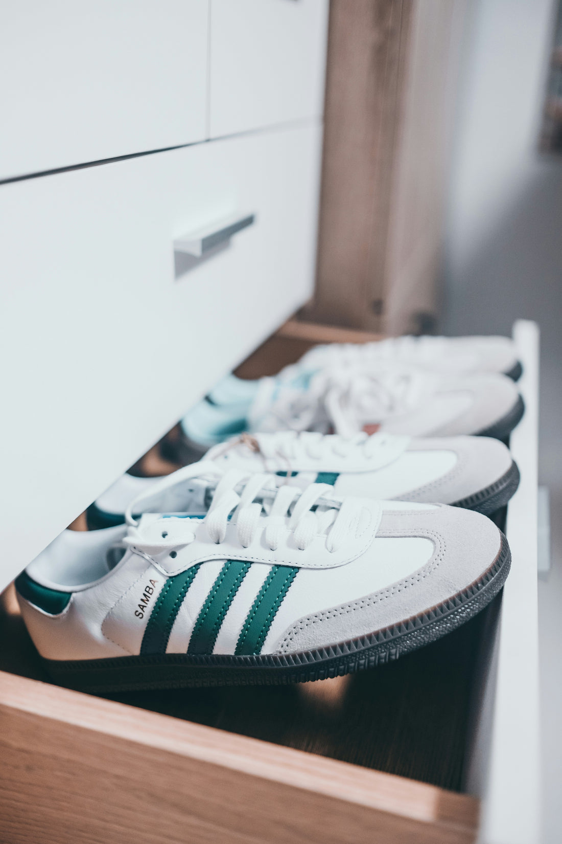 Shoe Storage Organizer With Reinforced Handles: What to Look For