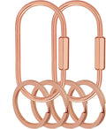 Key Chain, Brass Key Rings 2 Pack Screw Lock Key Organizer with 4 Rings Carabiner Keychain Clip for Men and Women