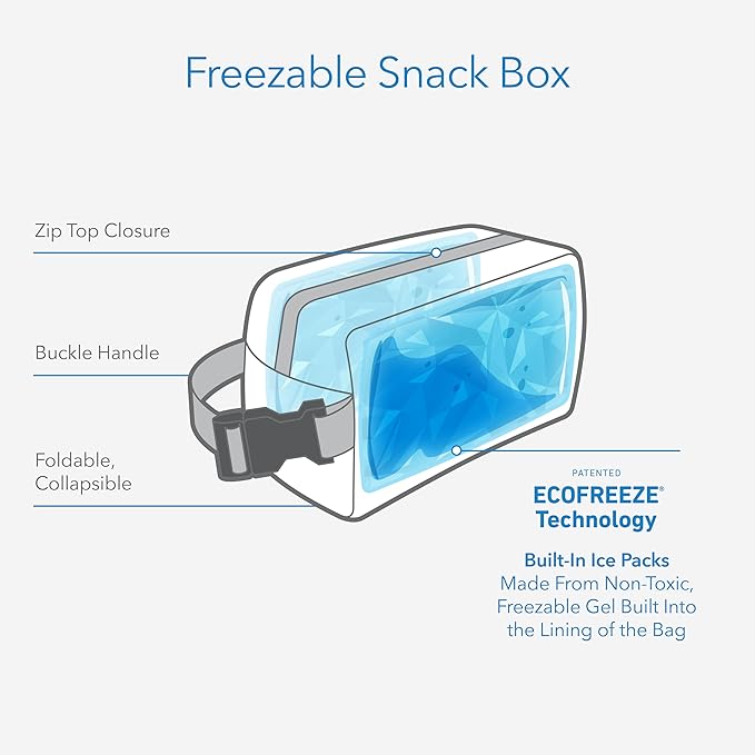 PackIt® Freezable Snack Box, Checked Out, Built with ECOFREEZE Technology, Collapsible, Reusable, Zip Closure with Buckle Handle, Designed For Work Snacks, Fresh Snacks On the Go, Adults, and All Ages